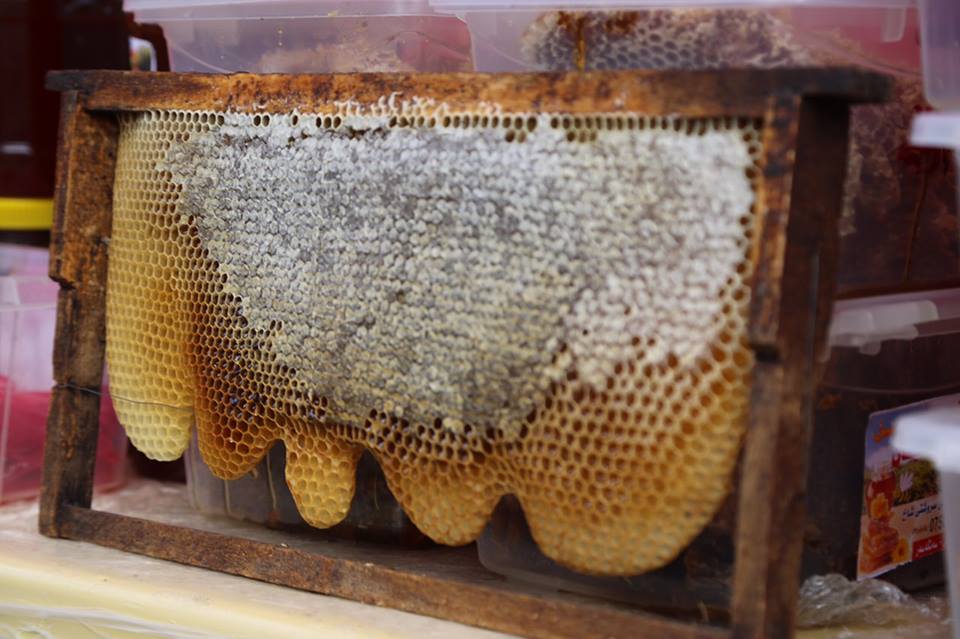 Dozens of beekeepers participated in Sulaimani honey festival, Nov. 8, 2018. (Photo: Ibrahim Fatah)